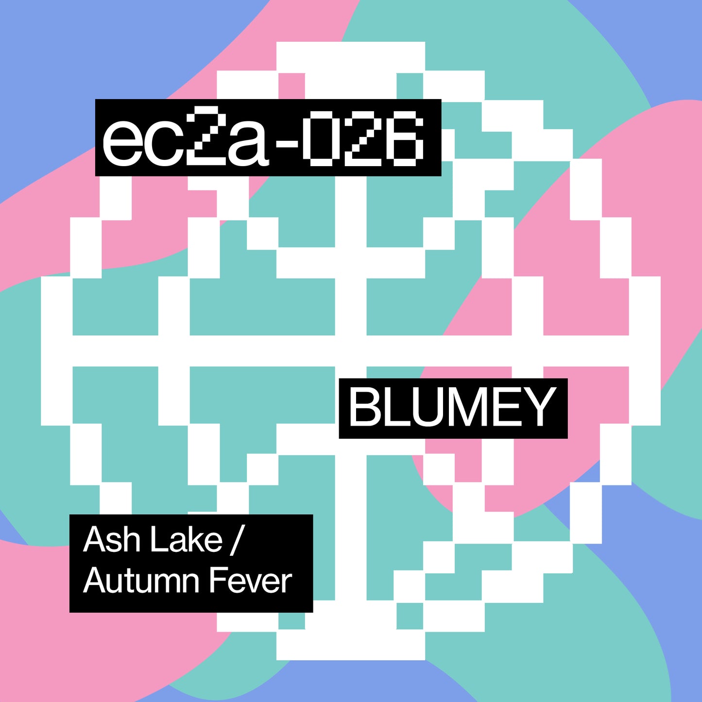 [EC2A-026] Blumey